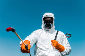 Best Pest Control for Multi-Family Homes  in Mentone, CA